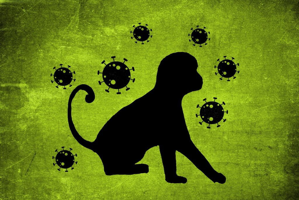 Documentary of year 2022 Virus symbol with monkey.