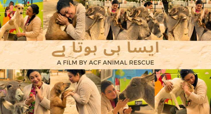 'Asa hi hota hai' is An Animal Movie Like You've Never Seen Before