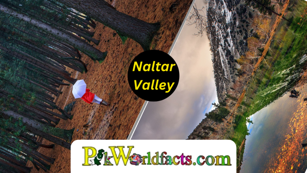 In the list of the most beautiful tourist places in Pakistan, we have the beautiful Naltar Valley (Gilgit-Baltistan) in Pakistan as number nine.
