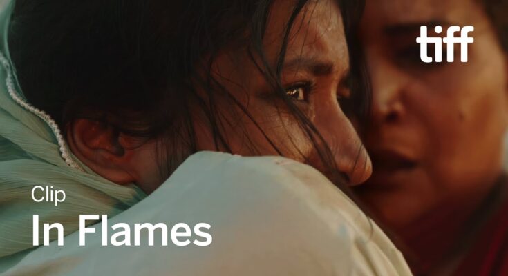 After Cannes In Flames was also presented at the Toronto Festival