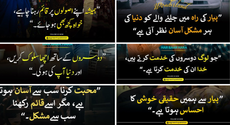 Green TV Entertainment Quotes In Urdu